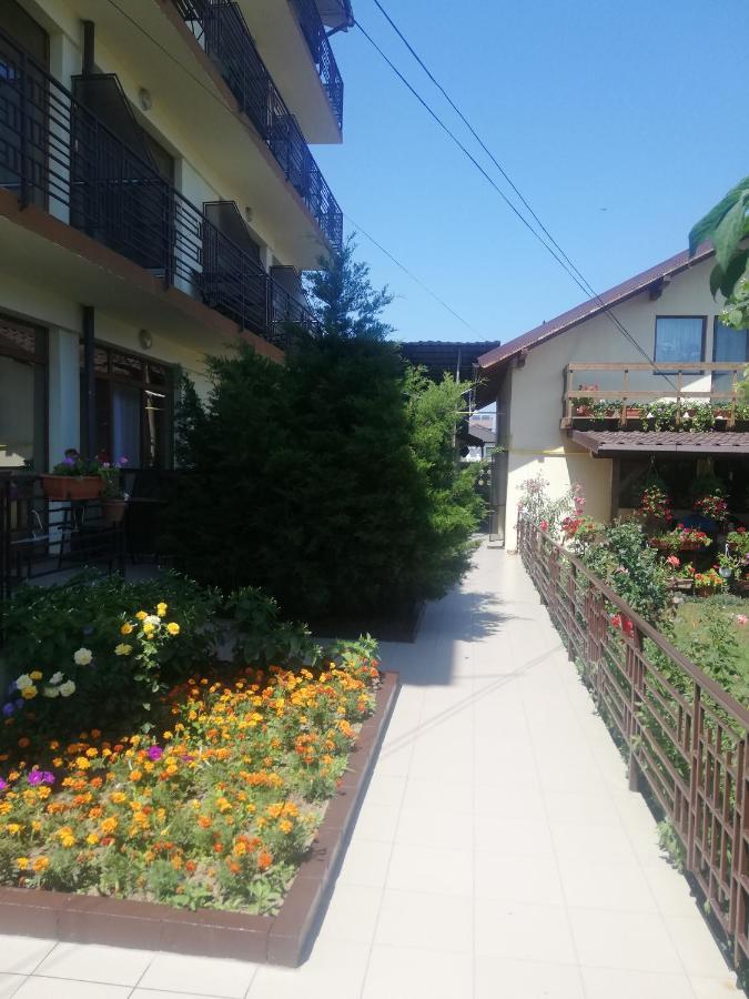 Villa Pescarus Costinesti Esterno foto